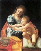 The Virgin and Child 1 BOLTRAFFIO, Giovanni Antonio